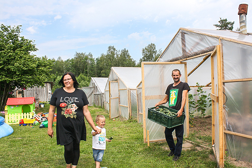 Dārzeņu audzētāju svētciemiešu Bērziņu "fazendā" saule zenītā