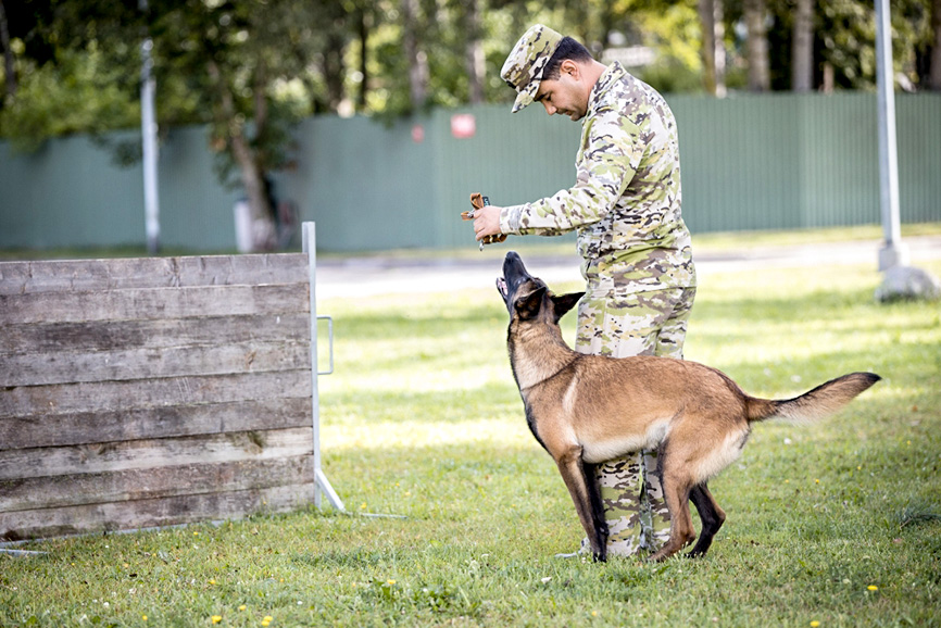 Rēzeknē izglītojas kinologi no piecām Centrālās Āzijas valstīm (Latgale)