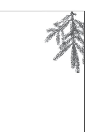 ornament-05