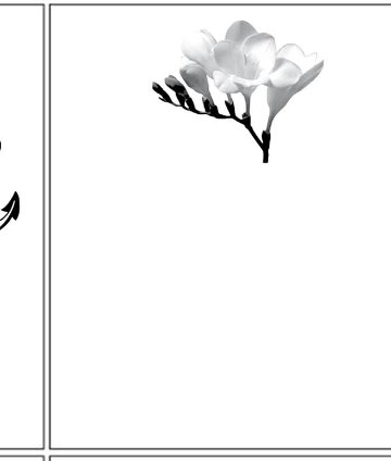 ornament-07
