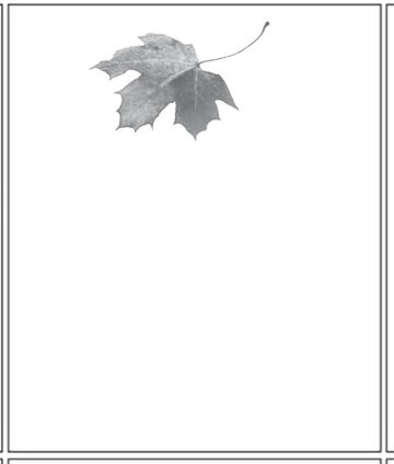 ornament-08