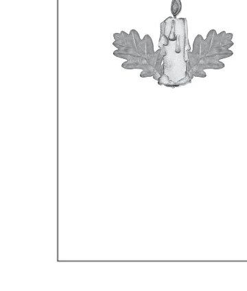ornament-11