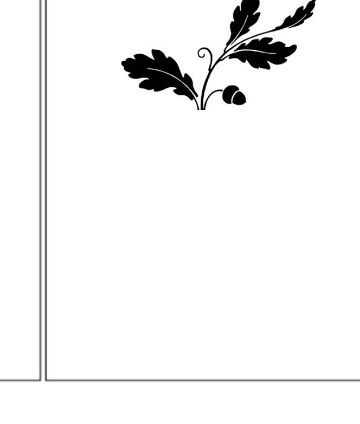 ornament-12