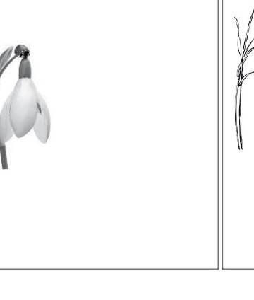 ornament-14