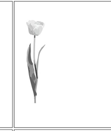 ornament-22