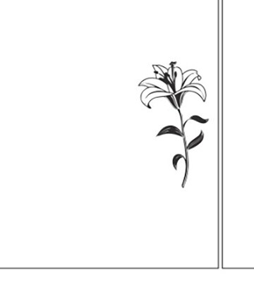 ornament-29