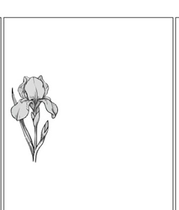 ornament-33