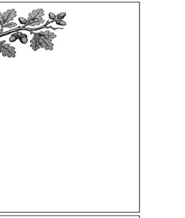 ornament-40
