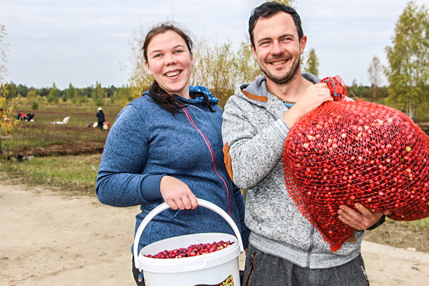 Ogotāju jampadracis dižbrūkleņu purvā Bīriņos