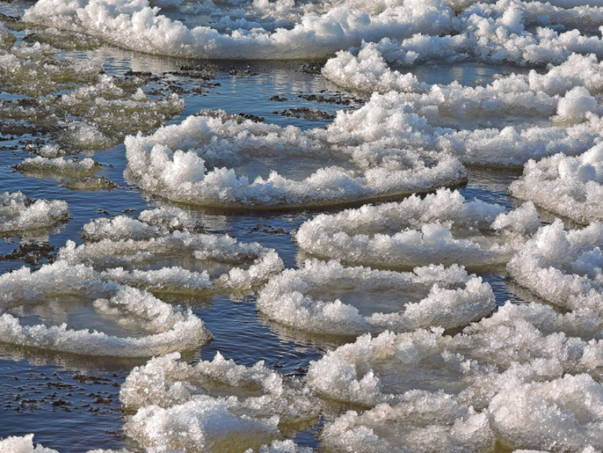 Klimata pārmaiņu rezultātā Latvija var būt ieguvēja