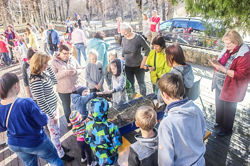 Ģimeņu dienā LGB varēja satikt suņus un trušus