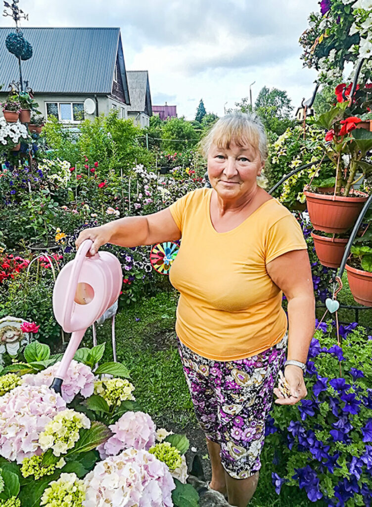 Limbažnieces Dzintras dārzā trako Īrijas rozes