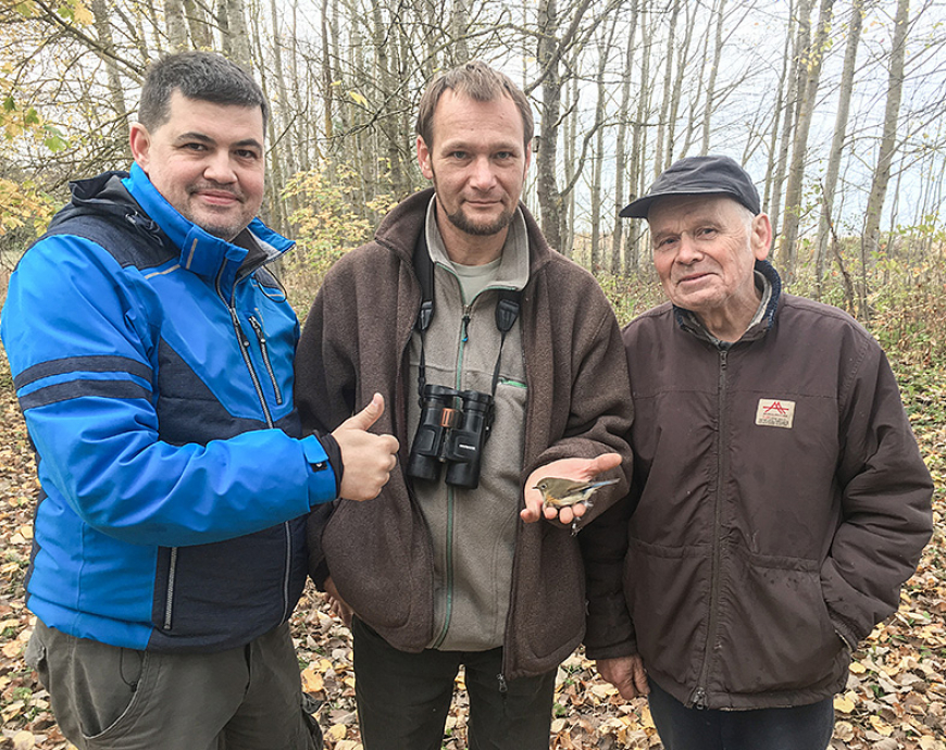 Salacgrīvas pagasta «Lauteros» gredzenota retā rudsānu zilastīte