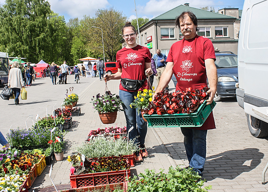 Stādu audzētājs Aigars māca, ko pirkt, ar ko nogaidīt