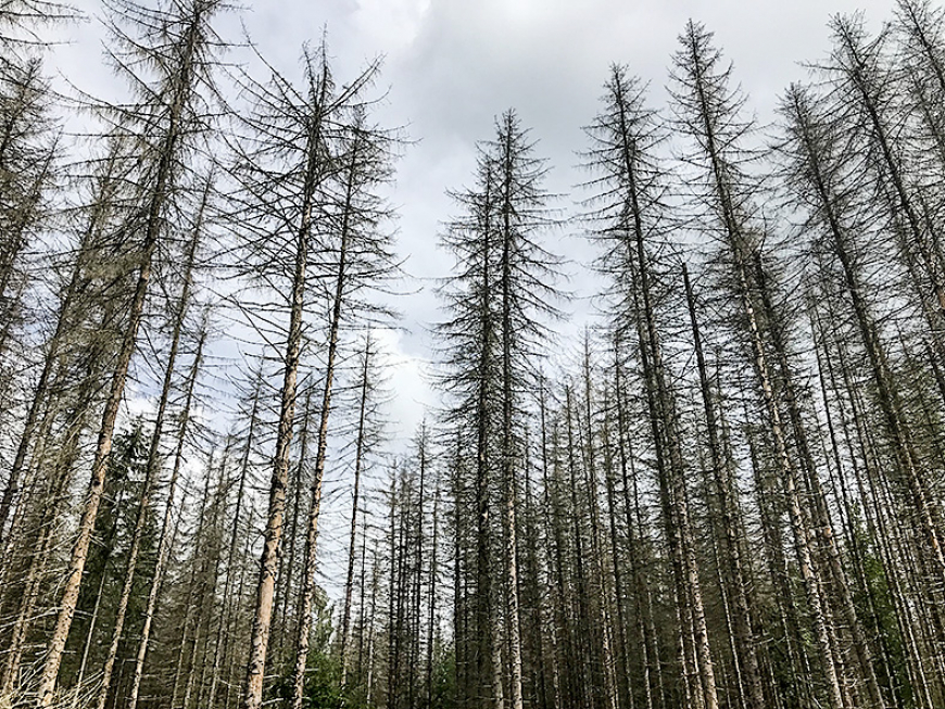 Klimata pārmaiņas skars ikvienu