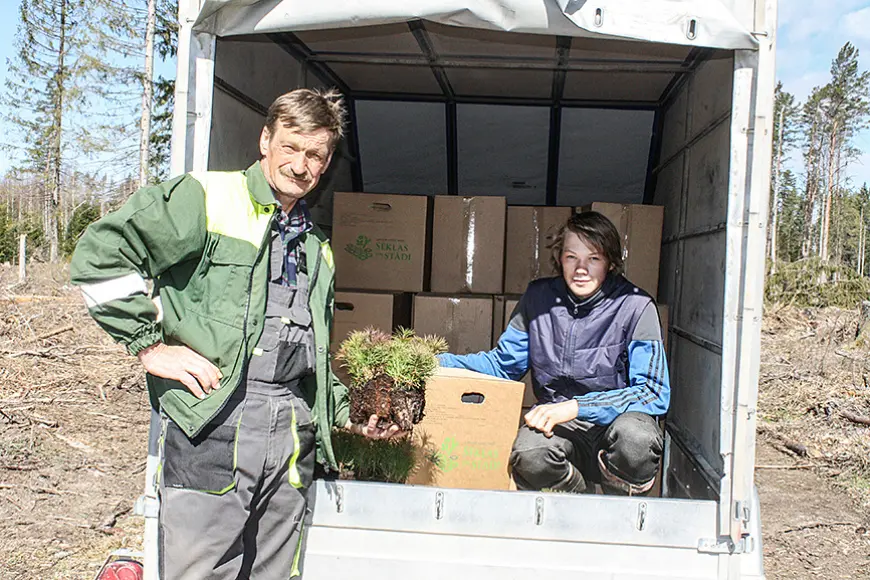 Arī mūspusē meža stādīšana šosezon sākusies agri