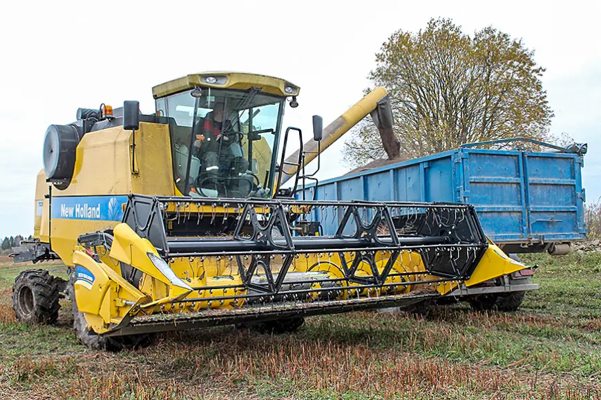 «Aloja Agro» griķus kūla vēlu, tomēr raža laba