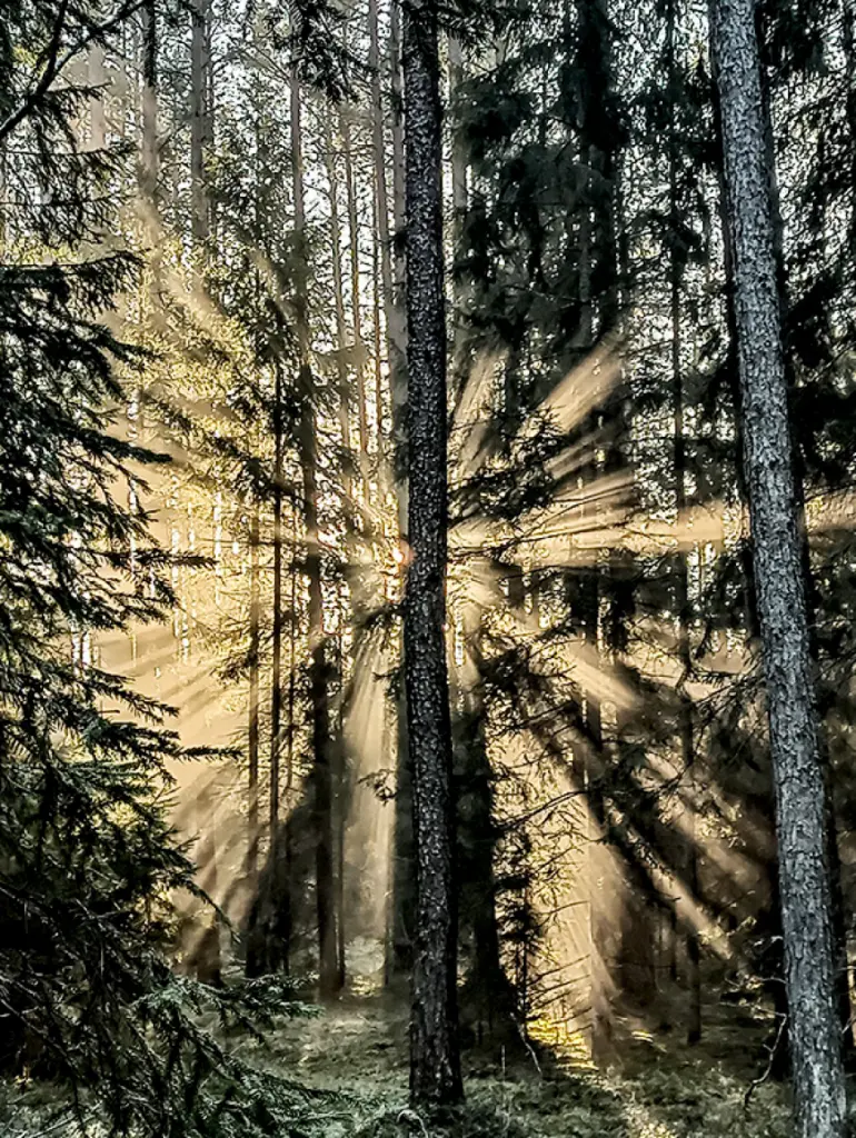 Fotokonkursam liela atsaucība