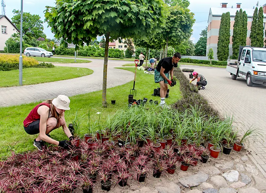 Limbažu dobes sola sastādīt  līdz Līgosvētkiem