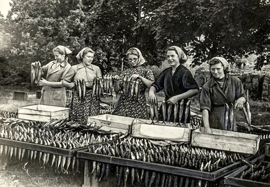 Pārdomas par reņģēm