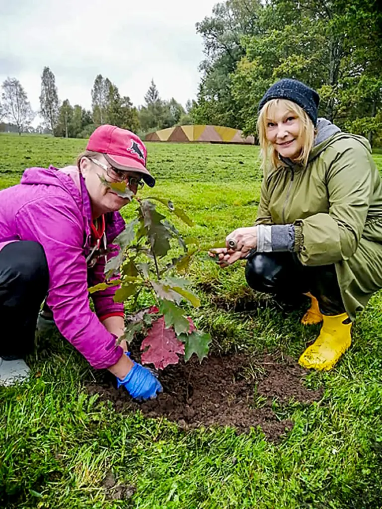 Vidrižu uzņēmēja apņēmusies Latvijas dabai dot tūkstoš ozolu