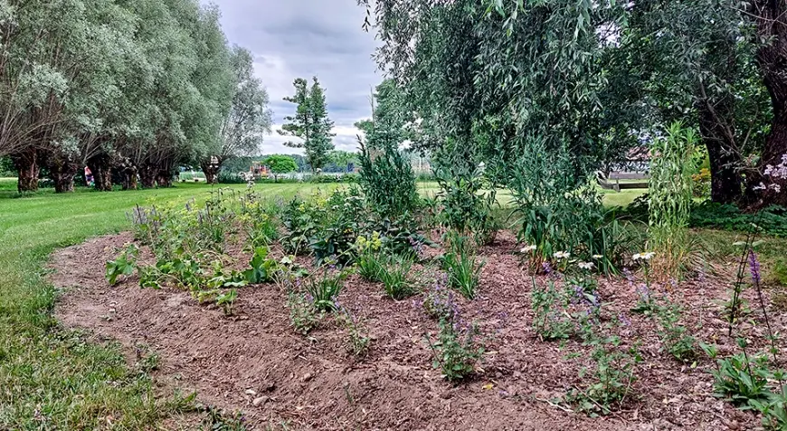 Atsaucīgas limbažnieces savai pilsētai dāvina puķu dobi