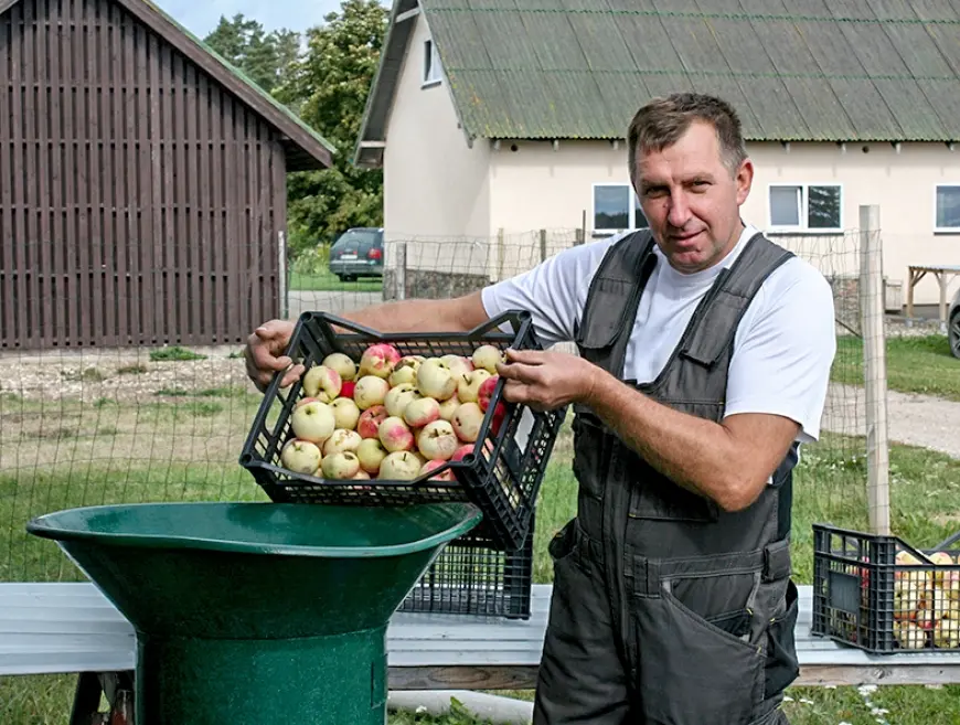Ozolu ģimene spiež sulas un turpina saldējuma ražošanu