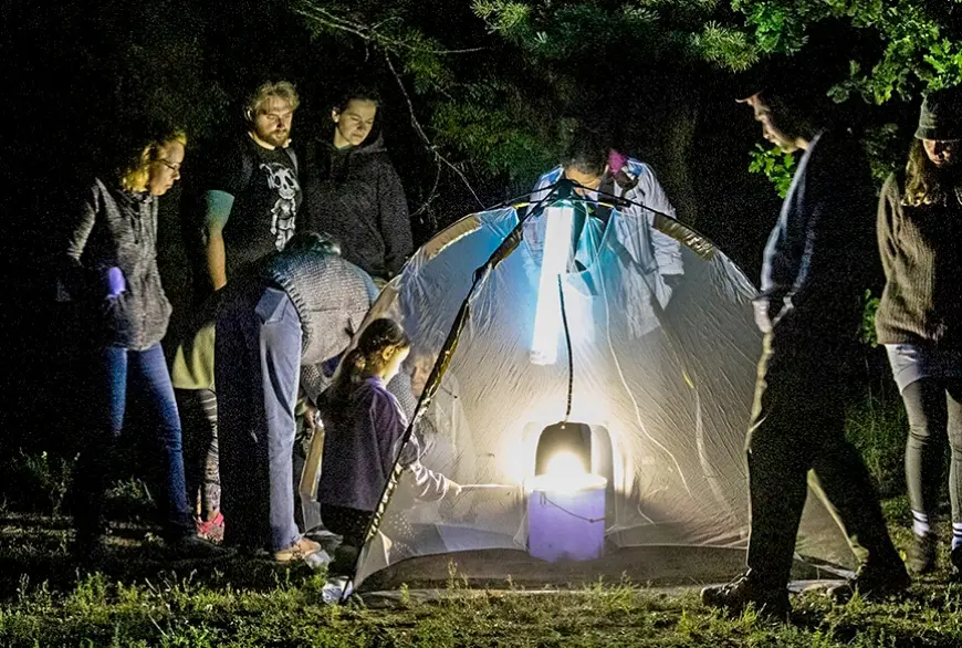Salacgrīvā par nakts kukaiņu dzīvi interesējās daudzi