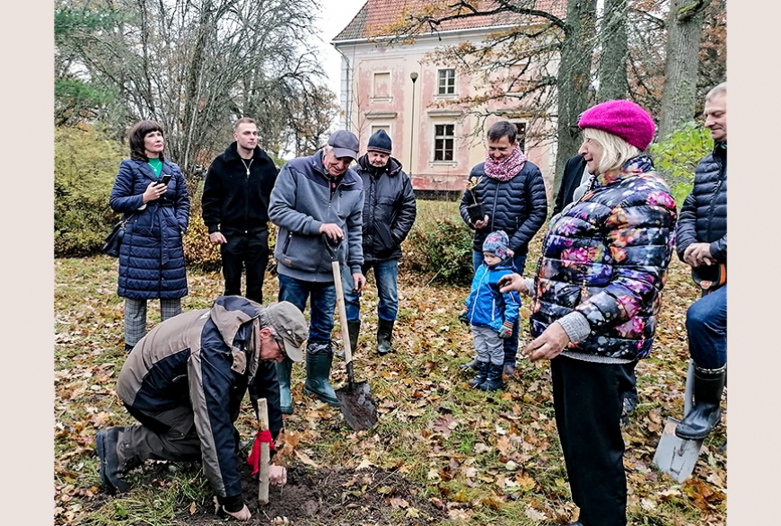 Ozolmuižas pils parkā iestādīti vairāki jauni ozoliņi