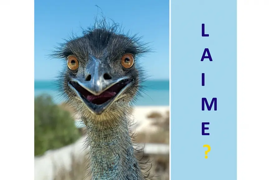 Kā būt laimīgam?