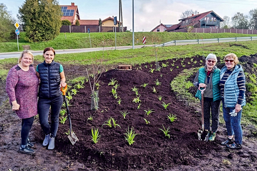 Limbaži saņem dāvanā dienliliju dobi