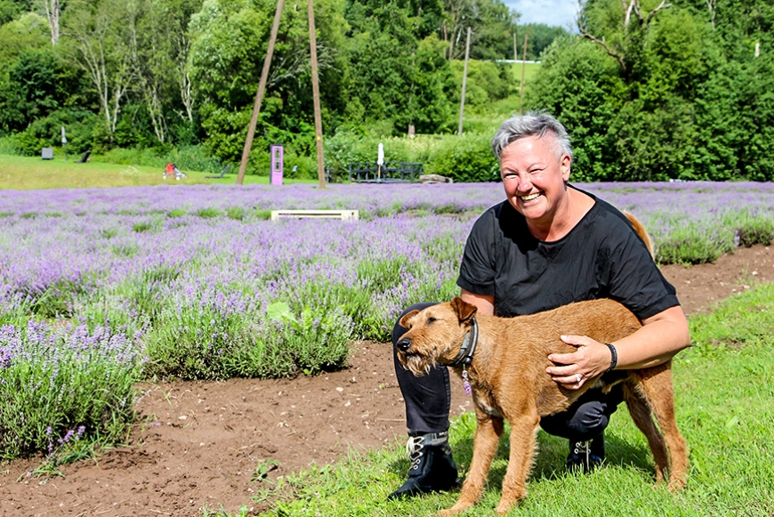 Saimniecība «Lillas Lavender» Umurgas pagastā atvērta apmeklētājiem