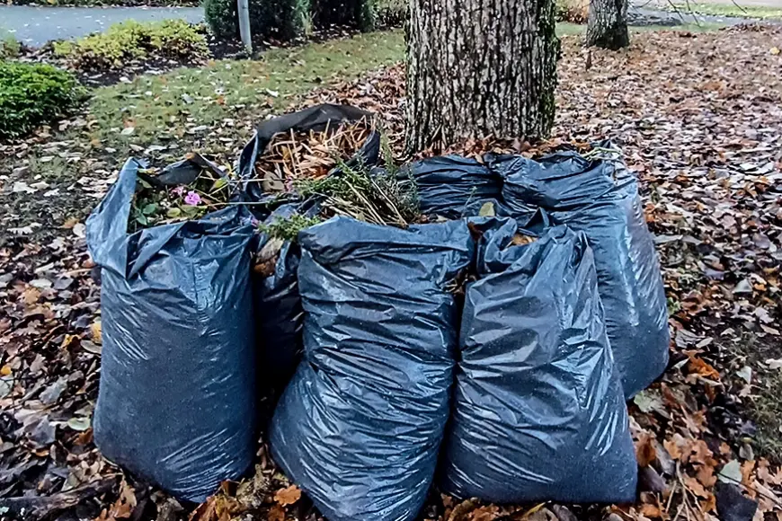 Kur likt rudens lapas?