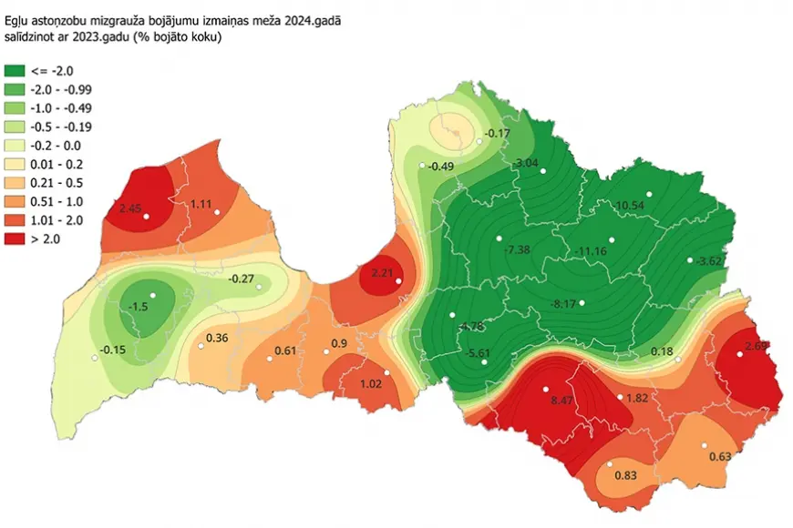 Limbažu novadā mizgraužu aktivitāte pērn nav pieaugusi