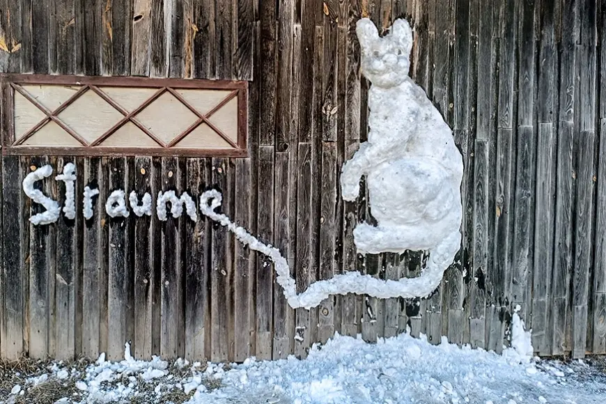 Dagdā jaunieši izveido “Straumes” kaķi no sniega (Latgale)