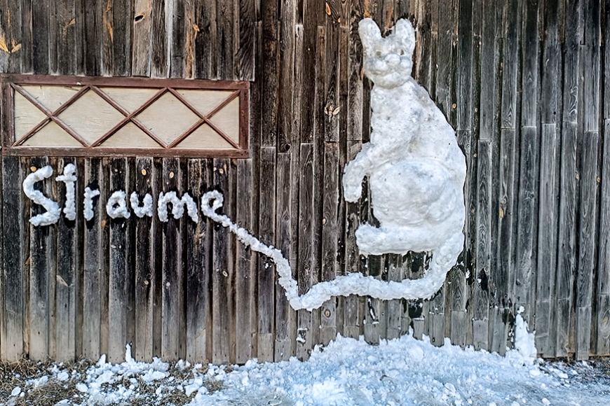 Dagdā jaunieši izveido “Straumes” kaķi no sniega (Latgale)