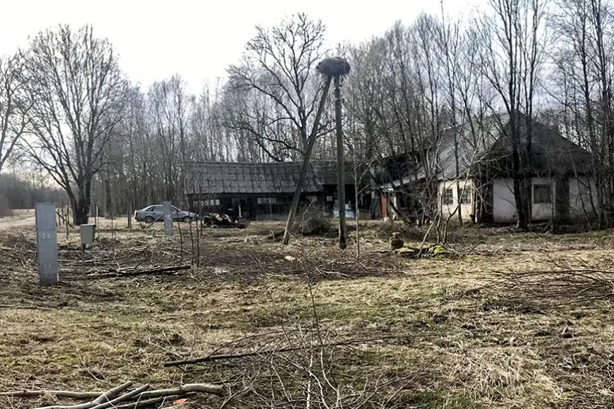 Rūpēs par drošību Limbažu pagastā nojauc stārķu ligzdu, iedzīvotāji sašutuši