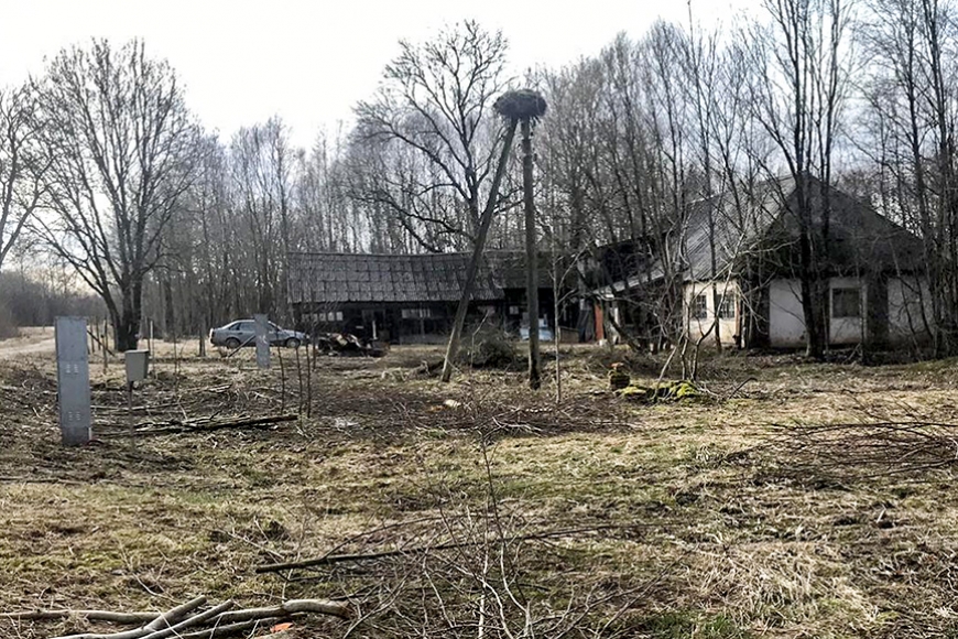 Rūpēs par drošību Limbažu pagastā nojauc stārķu ligzdu, iedzīvotāji sašutuši