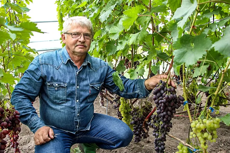 Gardu eksperimentu dārzs dzimtas mājās Skultes pagastā