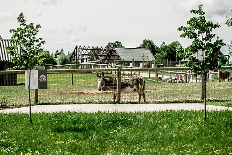 Vidzeme: «Sigulda ZOO» iegulda zoodārza infrastruktūras attīstībā