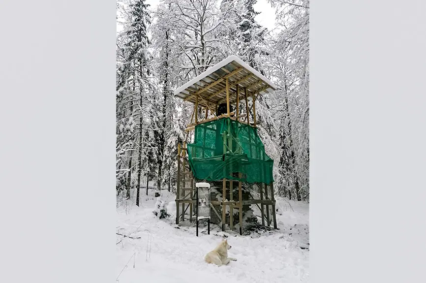 Bīriņu pils parkā uzsākta Emīlijas pieminekļa restaurācija un saņemti vērtīgi dāvinājumi (ziņa/aktua