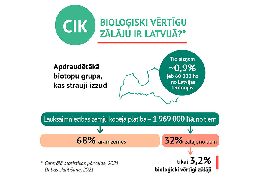 Sēj dabiskas pļavas