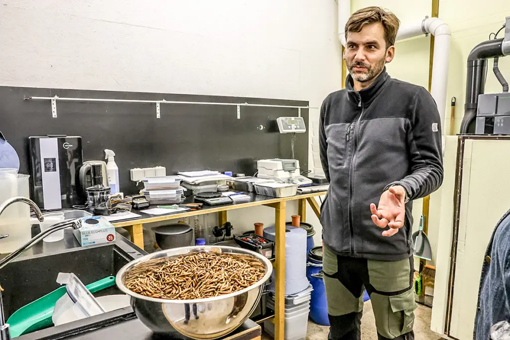 Aprites ekonomika ir arī par kāpuriem