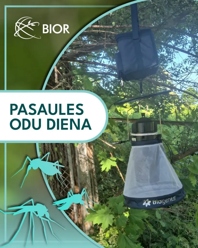 Pasaules odu diena