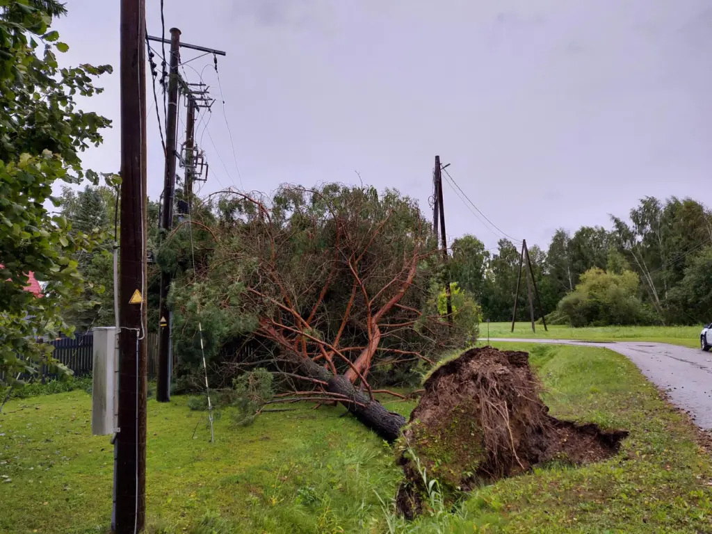 «Sadales tīkls» aicina netuvoties vētrā bojātām elektrolīnijām