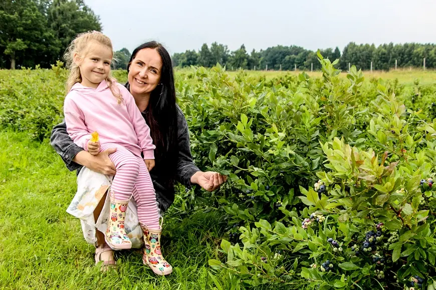 No akordeona līdz krūmmelleņu dārzam Viļķenes pagastā