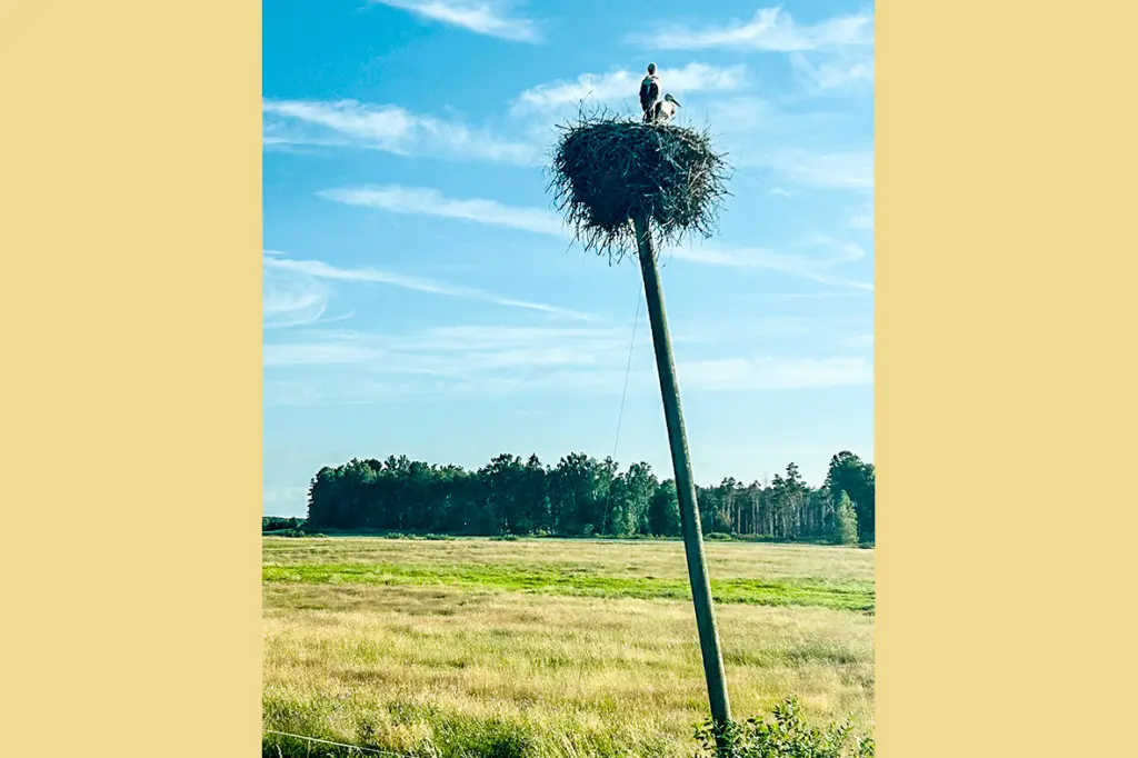 Glābšanas risks – pārlieku pieķerties