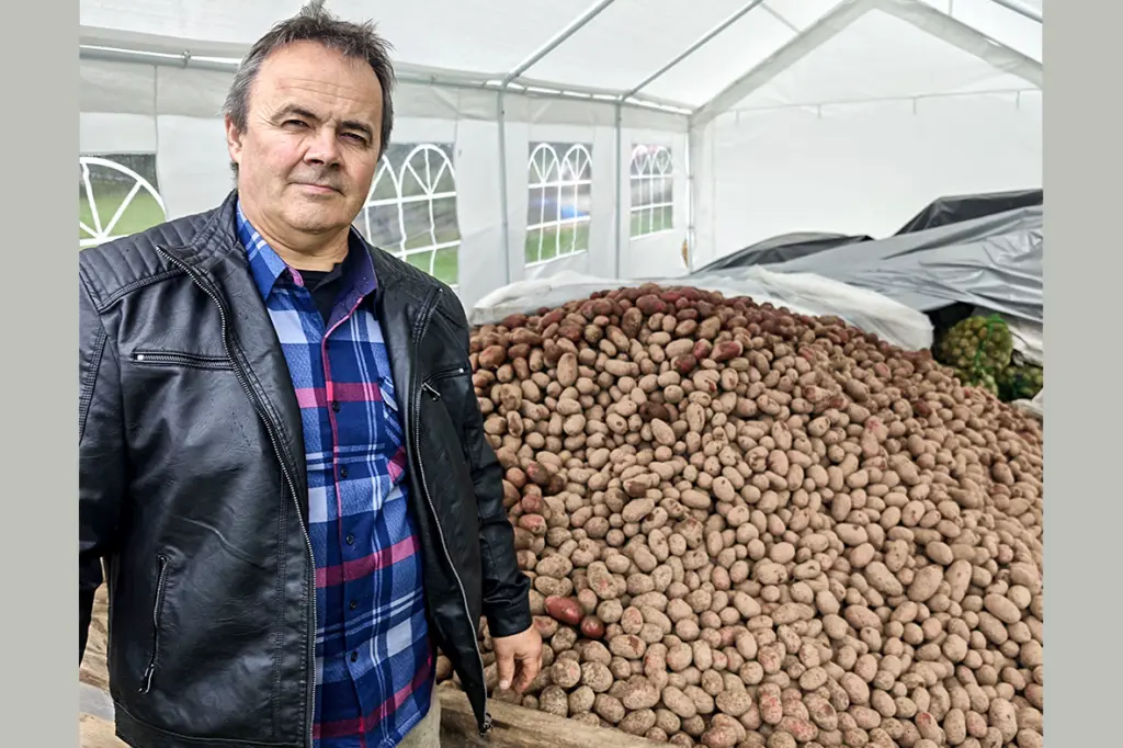 Laimīgs, kas kartupeļus novācis. Stāsts par biznesa gēniem
