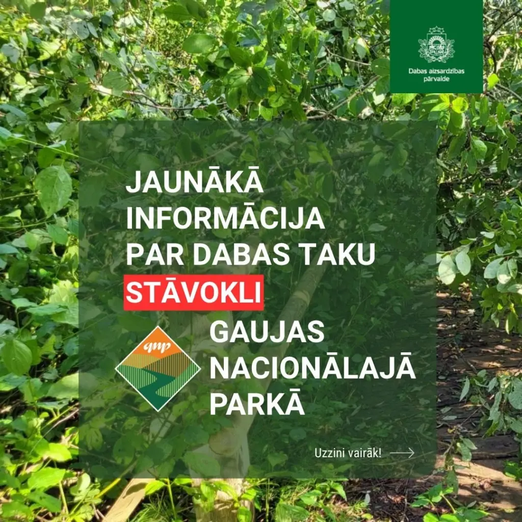 Pēc vētras atkal pieejama daļa Gaujas Nacionālā parka taku