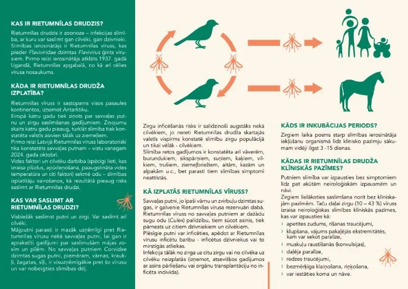 PVD aicina ziņot par atrastiem beigtiem savvaļas putniem